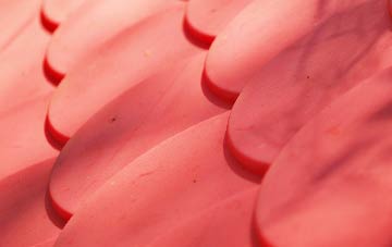 Rhes Y Cae plastic roof costs